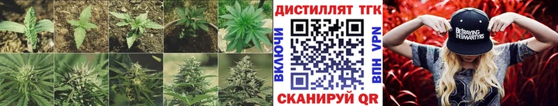 Купить  Смоленск  Дистиллят ТГК Wax 