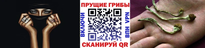 Псилоцибиновые грибы ЛСД  Купить где  Смоленск 